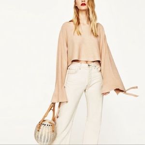 Zara Raffia Straw Basket Bag
